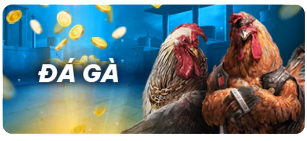 Đối chiếu thông tin thay vì suy đoán - Bongdalu
